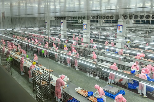肉鸡加工厂分割车间